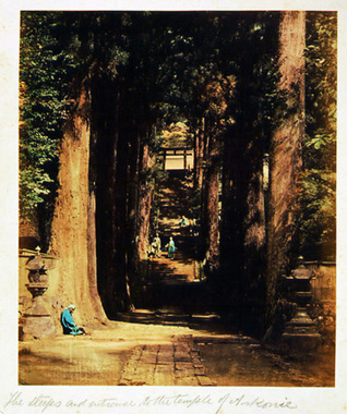 箱根神社参道の並木道