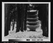 羽黒山羽黒神社五重塔 画像