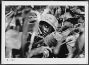 The Hill 875, Battle of Dak To