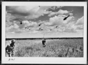 ヘリコプター 画像