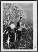 U.S. Soldiers in a Jungle