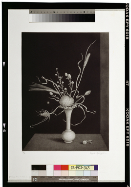 オパリンの花瓶に挿した種草 画像