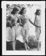 「花」シリーズより 画像