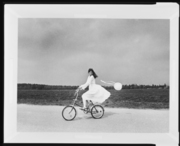 「花」シリーズより 画像