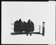 湖畔の尼僧 画像