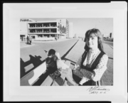 夕暮れ、「新しいクライペーダ」シリーズより 画像