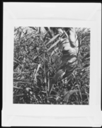 旅行中の運動 画像