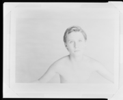 アレクサンダー 画像