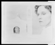 セルフ・ポートレート 画像