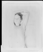 アレクサンダー 画像