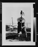 Farmer Working Outside Kadena Air Base, from the series "Inside and Outside the Wire Fence"