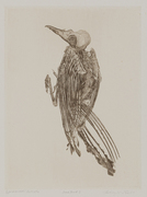 Dead Bird I 画像