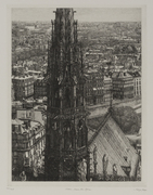 Notre-Dame, The Spire, 2nd State 画像