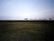 Vacant Space I - View of Earthquake Regeneration Housing Project from a Former Location of Evacuees' Temporary Accommodation