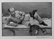 ソール・スタインバーク 画像