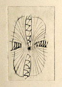 抽象（仮題） 画像