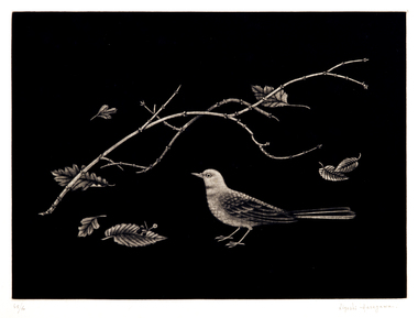 小鳥と落葉 画像