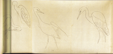 白鷺之図（画稿） 画像3