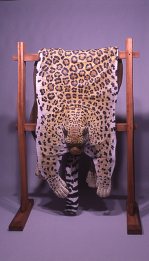 Fake Fur -Leopard 2002-