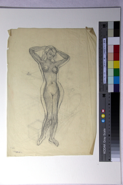 両腕をあげた裸婦 画像