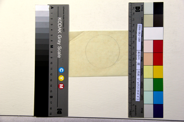 円形（ジャイアント・タンポポ） 画像