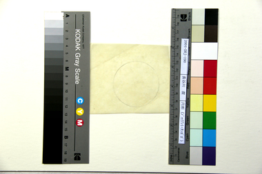 円形（ジャイアント・タンポポ） 画像