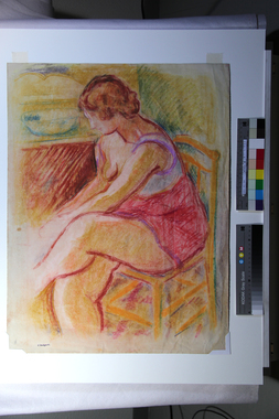 身づくろいする女 画像