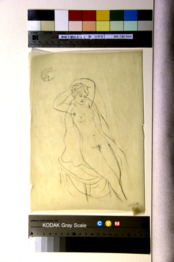 ガウンを羽織る裸婦 画像