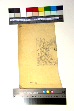 『竹取物語』の画稿（竹林のかぐや姫）（b） 画像