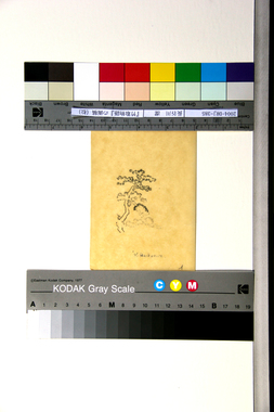 『竹取物語』の画稿（松） 画像