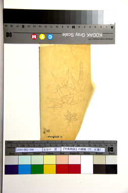 『竹取物語』の画稿（竹、紅葉） 画像