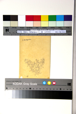 『竹取物語』の画稿（牡丹） 画像