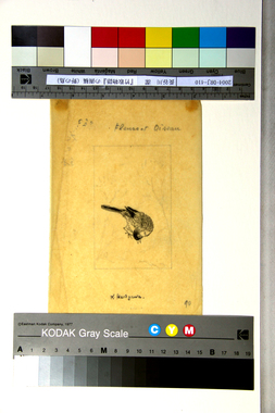 『竹取物語』の画稿（野の鳥） 画像