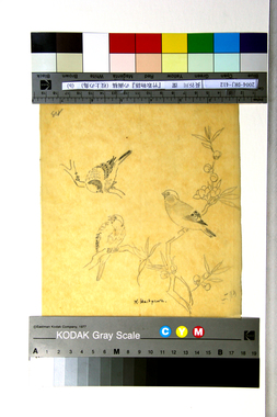 『竹取物語』の画稿（枝上の鳥）（b） 画像