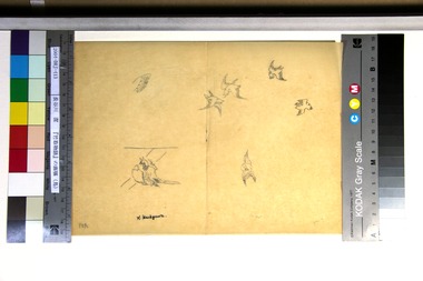 『竹取物語』の画稿（鳥） 画像