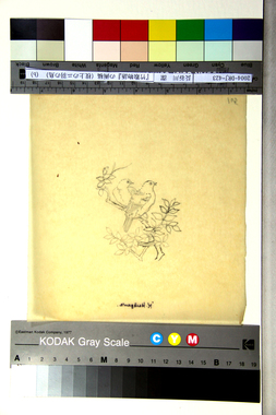 『竹取物語』の画稿（枝上のニ羽の鳥）（b） 画像