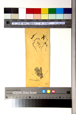 『竹取物語』の画稿（樹木）（a） 画像