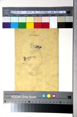 『竹取物語』の画稿（水鳥）（a） 画像