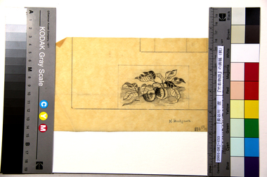 『竹取物語』の画稿（桃） 画像