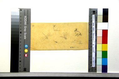 『竹取物語』の画稿（蜻蛉、うさぎ） 画像