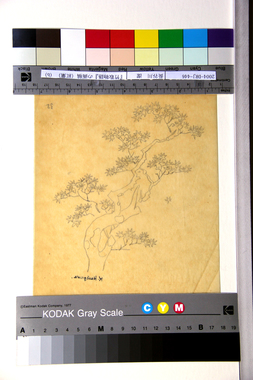 『竹取物語』の画稿（紅葉）（b） 画像