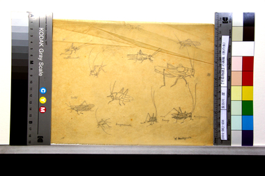 『竹取物語』の画稿（秋の虫） 画像