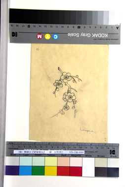 『竹取物語』の画稿（梅）