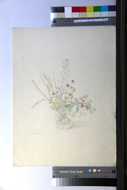 コップに挿した野草 画像