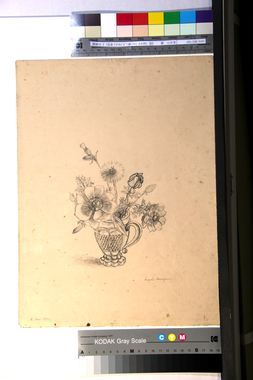 《花（切子ガラスに挿したアネモネと草花）》の画稿 画像