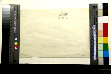 《ナデシコ》の画稿（b）