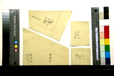 《ナデシコ》の画稿（c）