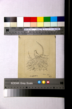 カードのデザイン（鳩と果物）