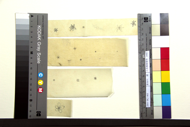 小花模様習作（4枚）＋　参考資料2点