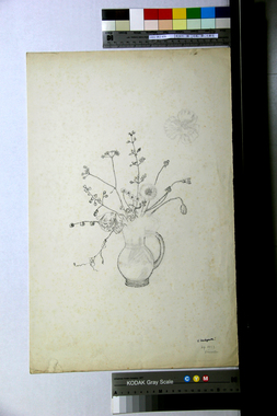 花瓶に挿した野花